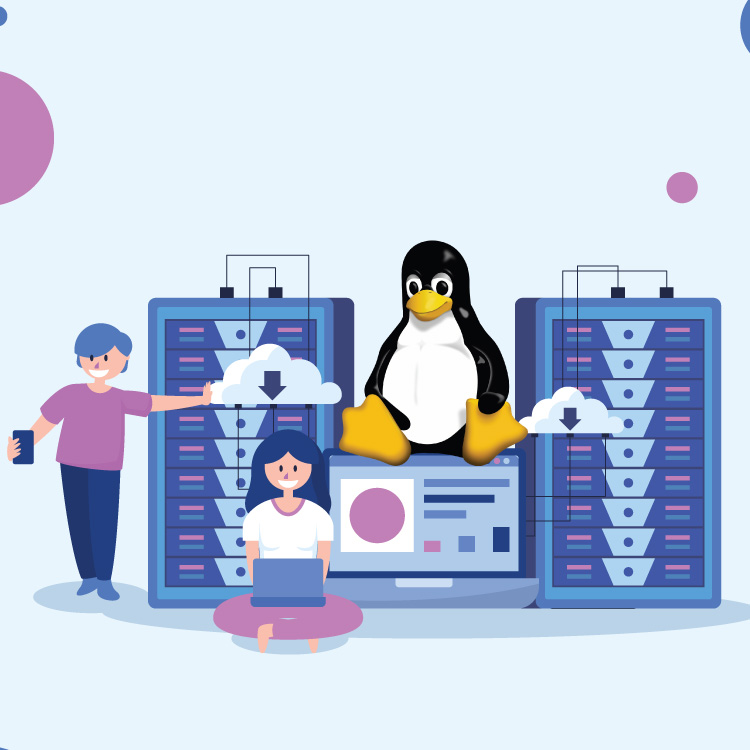 linus_hosting